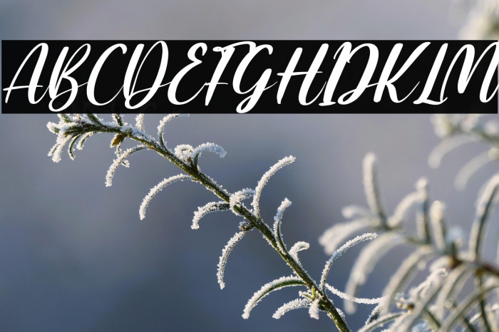 Amallia and Ronaldo Italic Example 3