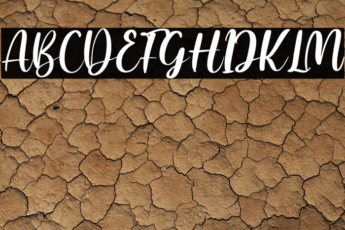 Amallia and Ronaldo Example 1