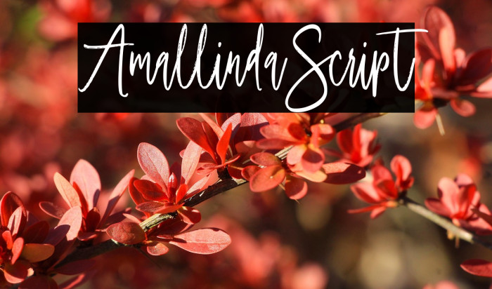 Amallinda Script1 Example 1