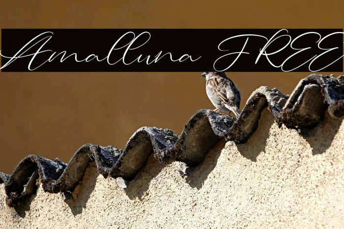 Amalluna FREE Example 1