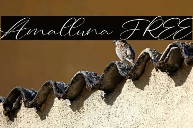 Amalluna FREE Example 1