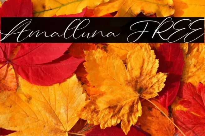 Amalluna FREE Example 2