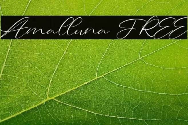 Amalluna FREE Example 3