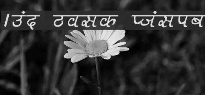 Aman Bold Italic Font examples