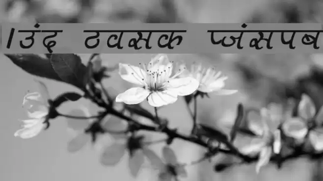 Aman Bold Italic Font examples