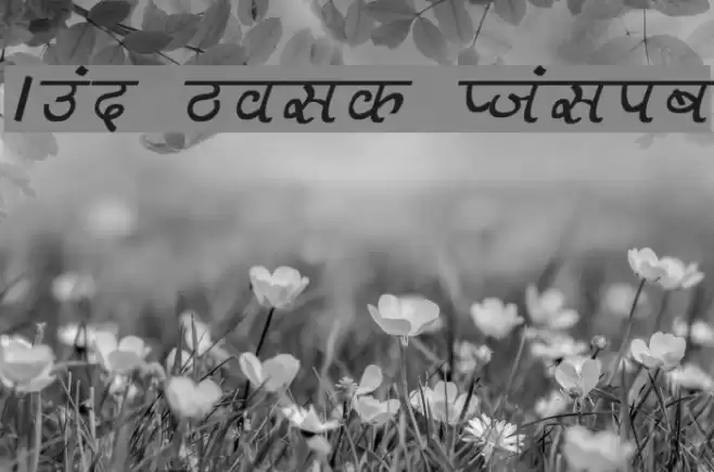 Aman Bold Italic Font examples