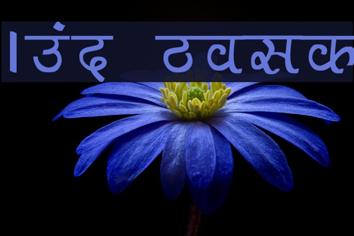 Aman Bold Font examples