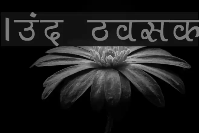 Aman Bold Шрифта examples