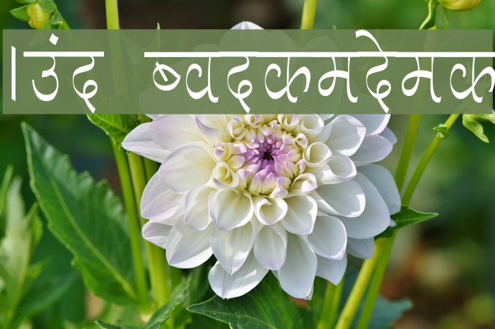 Aman Condensed Font examples