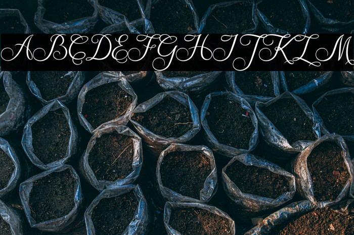 Amanah Script Regular Example 3