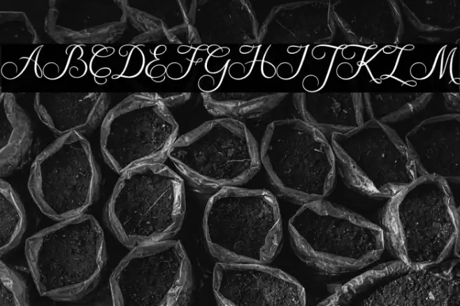 Amanah Script Regular Font examples