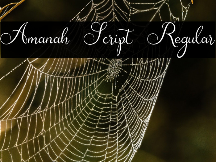 Amanah Script Regular Example 1