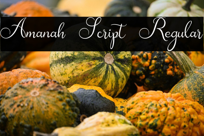 Amanah Script Regular Example 3