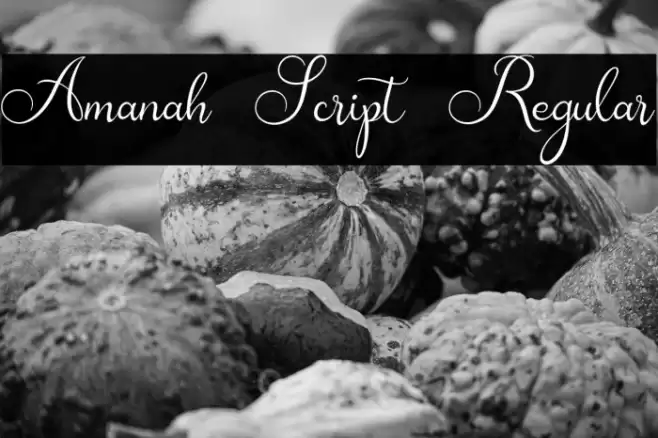 Amanah Script Regular Font examples
