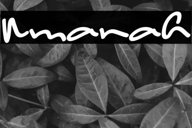 Amanah Font examples