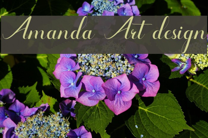 Amanda Art design Шрифта examples