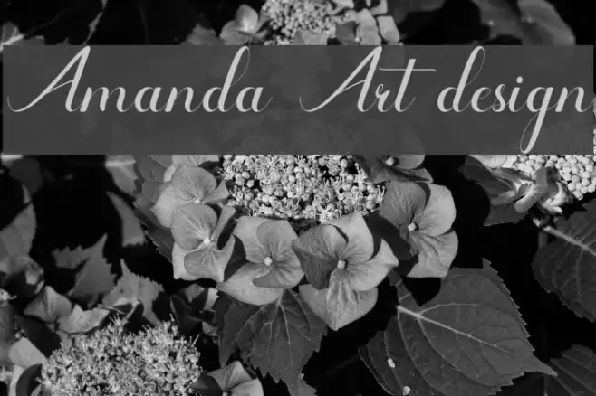 Amanda Art design Font examples