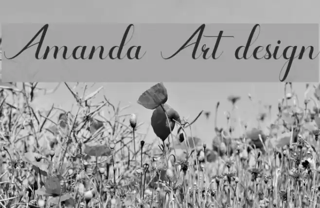 Amanda Art design Font examples
