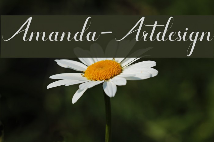 Amanda-Artdesign Font examples