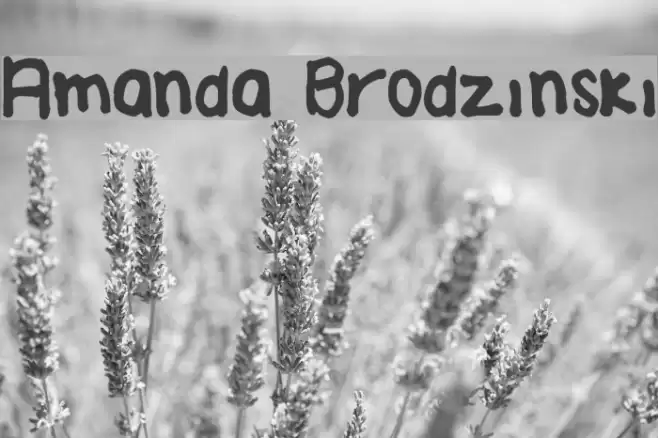 Amanda Brodzinski Font examples