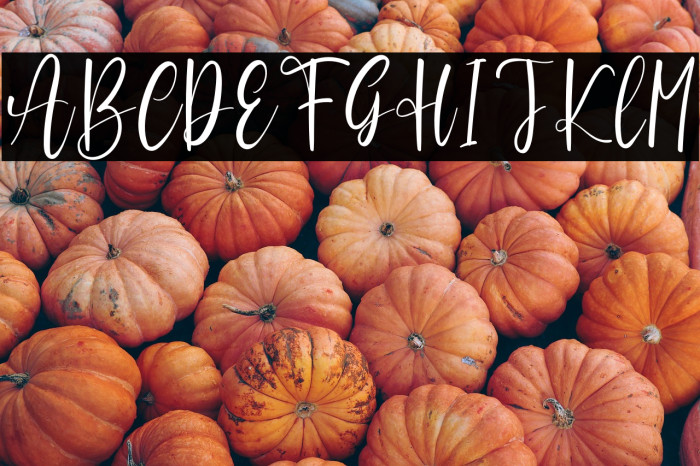 Amanda Enchanting Example 2