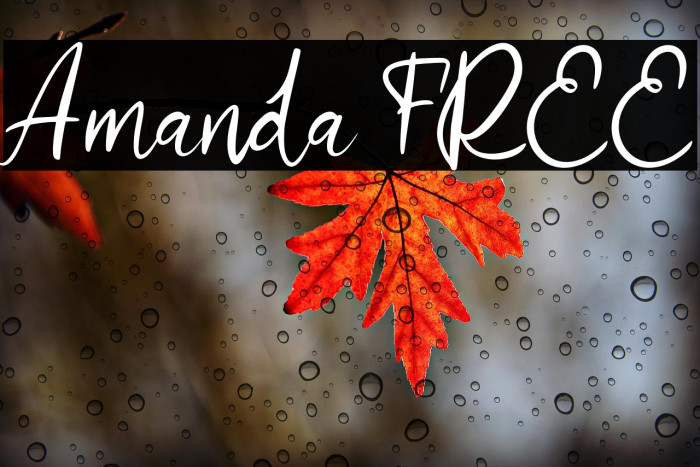 Amanda FREE Example 1