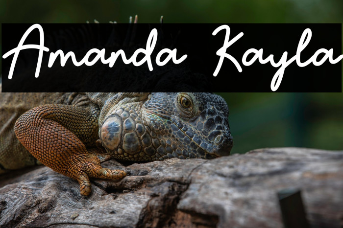 Amanda Kayla Example 2