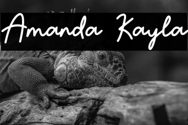 Amanda Kayla Шрифта examples