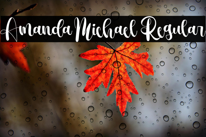 Amanda Michael Regular Example 3