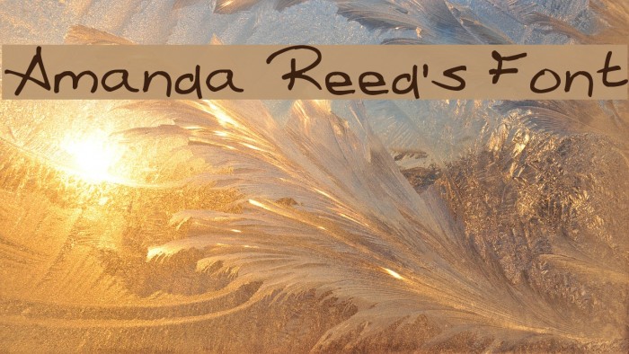 Amanda Reed's Font Font examples