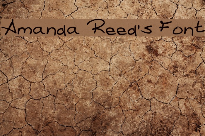 Amanda Reed's Font Font examples