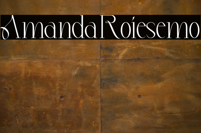Amanda Roies Demo Example 1