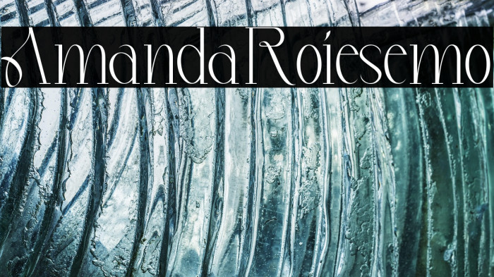 Amanda Roies Demo Example 2