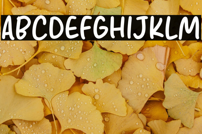 Amanda Rose Example 3