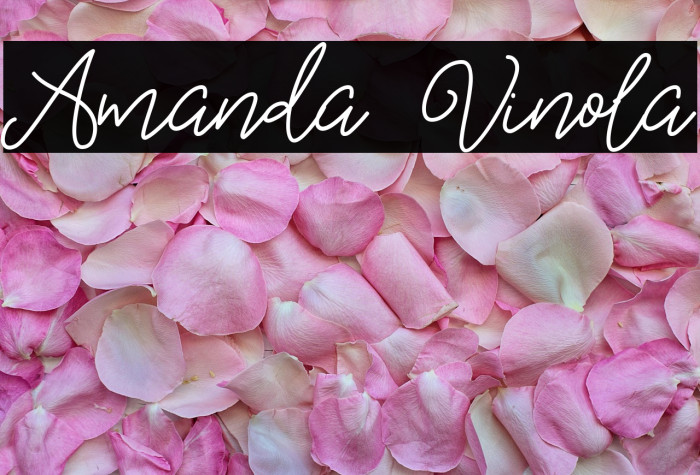 Amanda Vinola Example 2