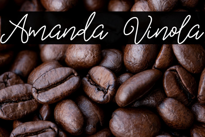 Amanda Vinola Example 3