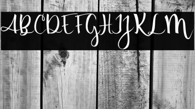 Amanda Font examples