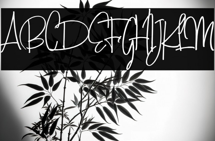 AmandaSantiagoDemo Example 3