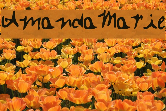 Amanda_Marie Font examples
