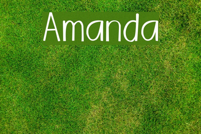 Amanda Font examples