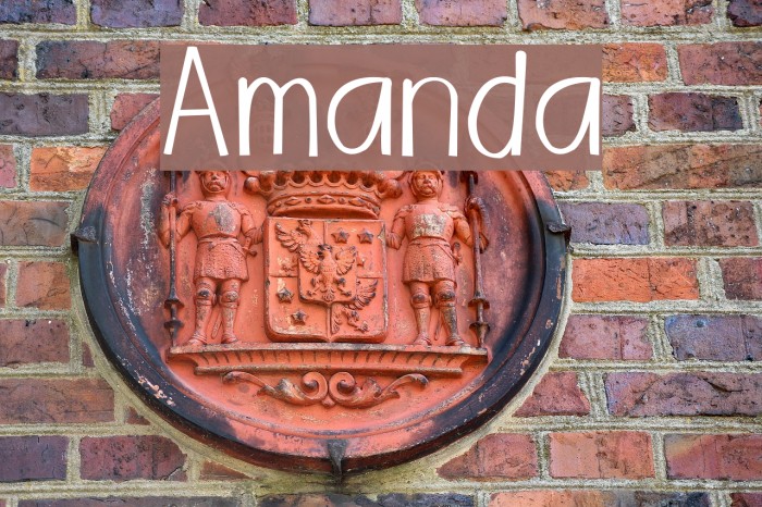 Amanda Font examples
