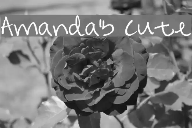 Amanda's Cute Fuentes examples