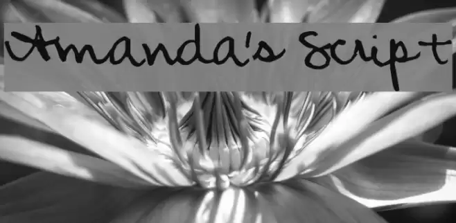 Amanda's Script Font examples