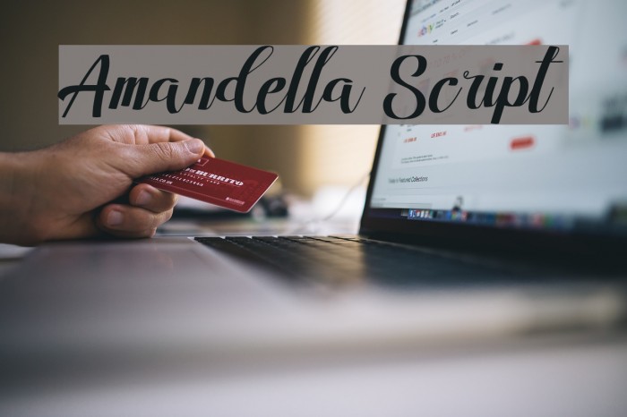 Amandella Script Font examples