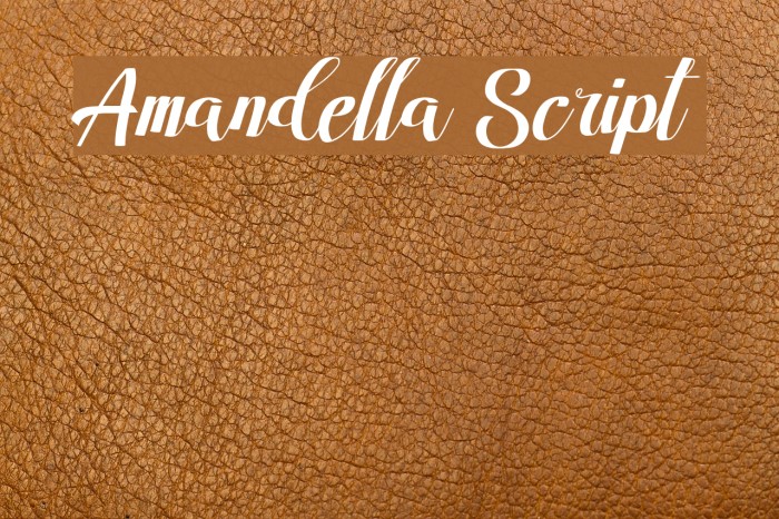Amandella Script Font examples