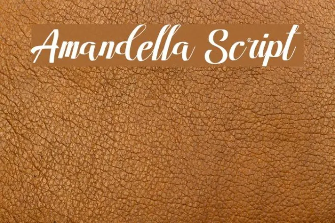 Amandella Script Example 2
