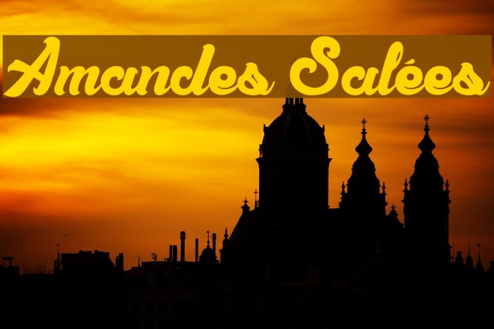 Amandes Salées Font examples