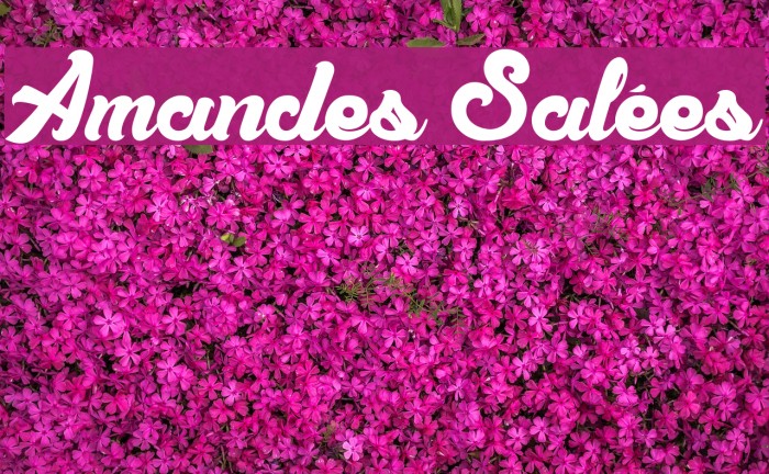 Amandes Salées Font examples