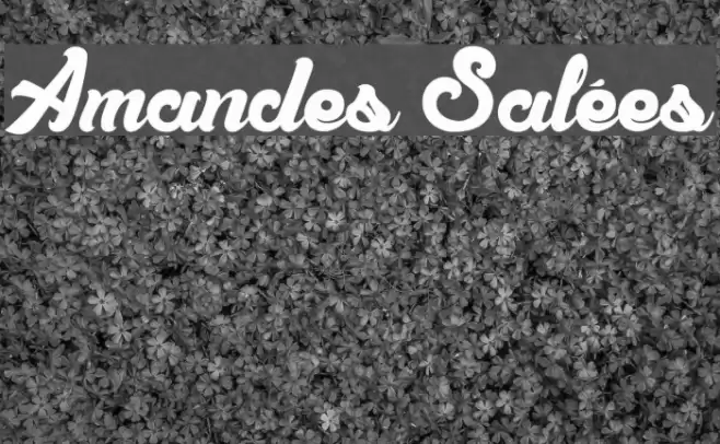 Amandes Salées Font examples