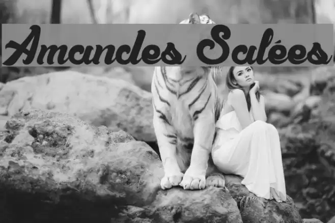 Amandes Salées Font examples